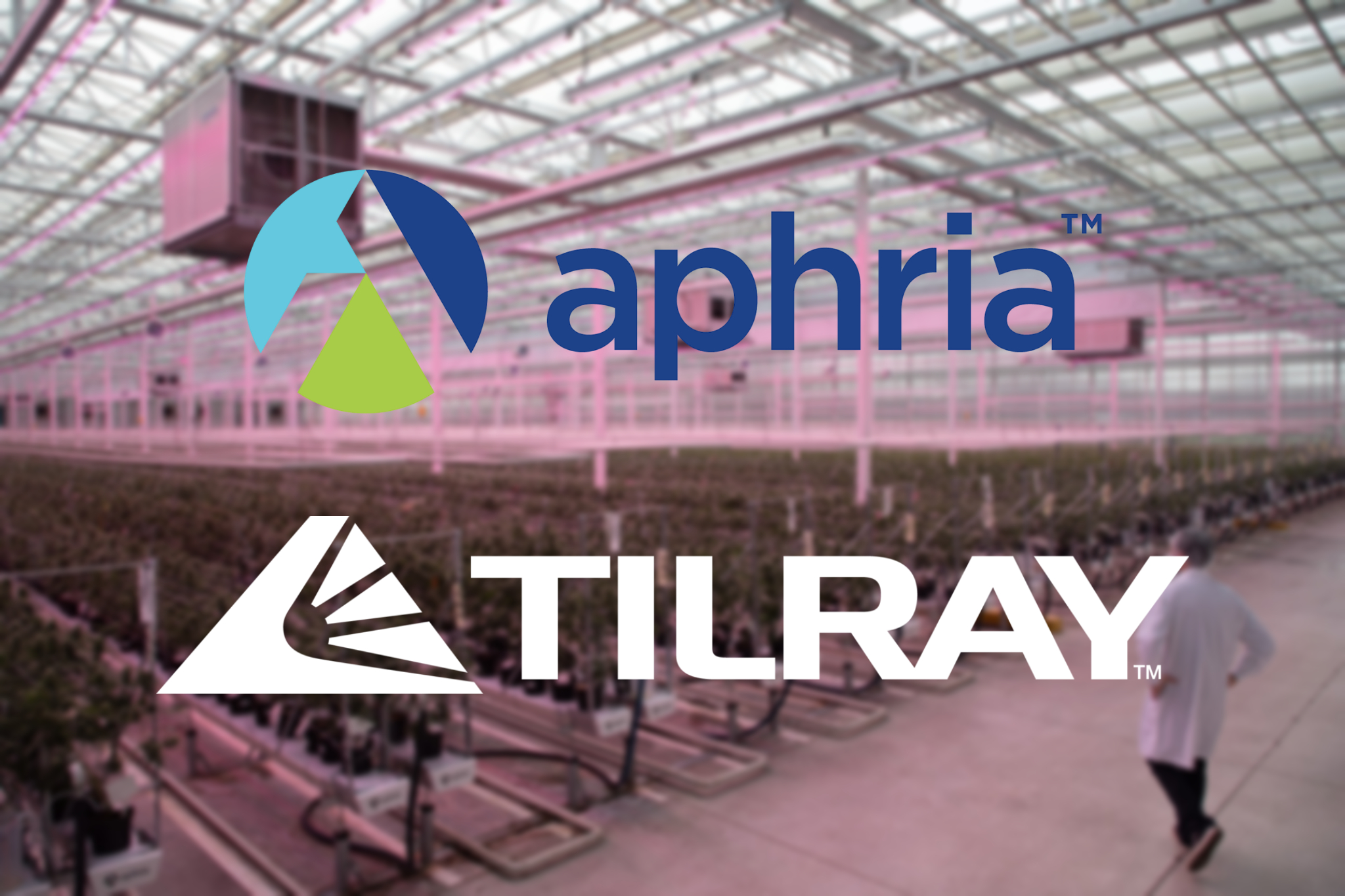 Tilray, Aphria merger makes world's largest cannabis producer - Grow ...